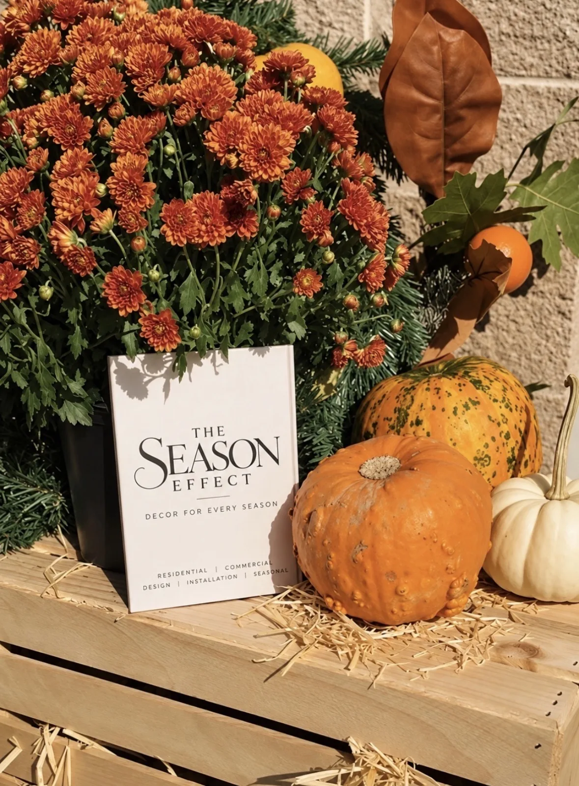 Copper mums, heirloom pumpkins and a Season Effect card on a wooden crate